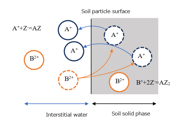 Figure 4.3: Equilibrium model for ion exchange